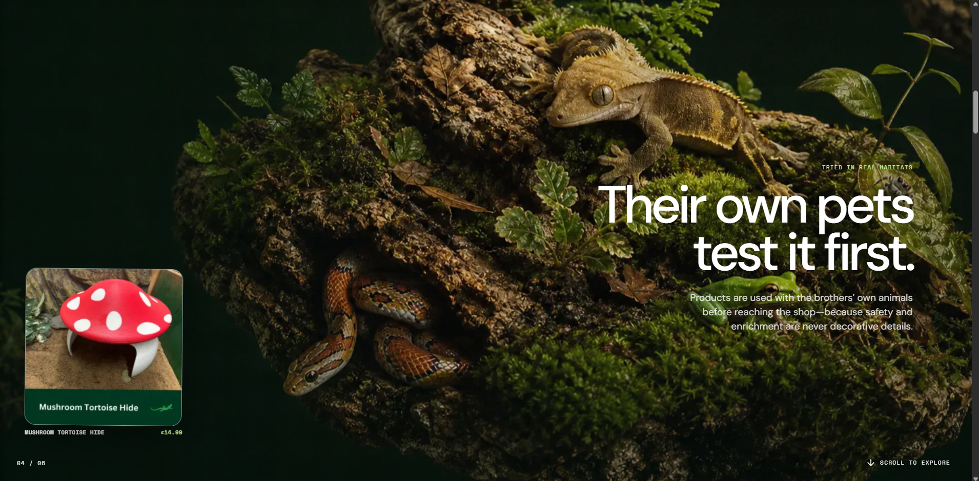 Product testing message shown alongside a mushroom tortoise hide